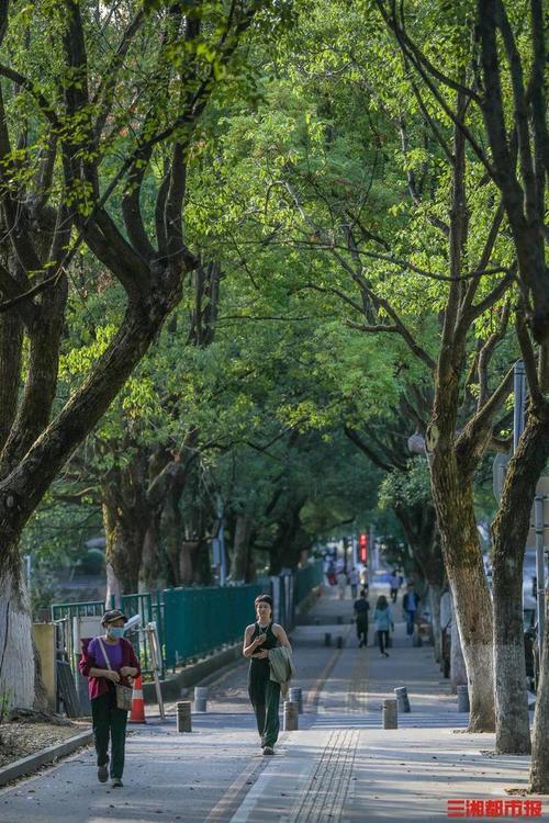 长沙到安福的汽车线路查询及建议
