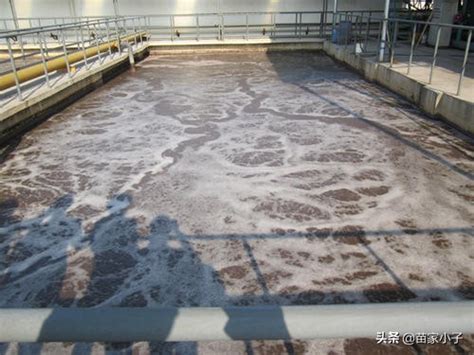 餐饮废水检测项目及标准限值