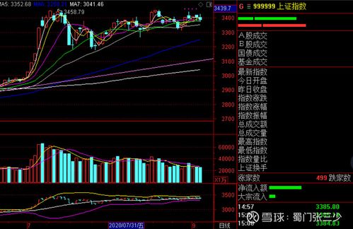 金盾股份股价下跌分析市场波动与公司前景展望
