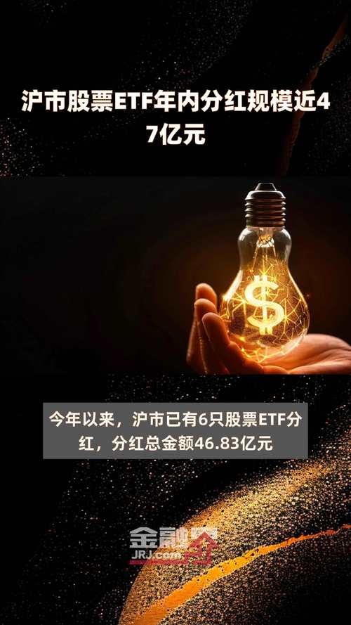 沪市股票年内分红盛宴投资者的丰厚回馈