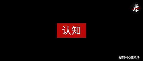 北京房产交易火爆！每日网签数据揭示市场热度