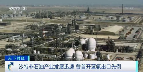 沙特主权基金据称将与远景能源合作将风机制造厂引入沙特