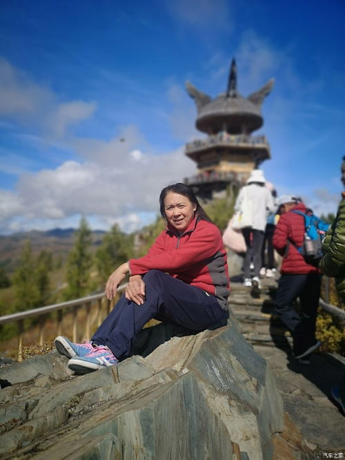 当科技七巨头不再制霸美股，这场大轮动谁会受益？一文看懂