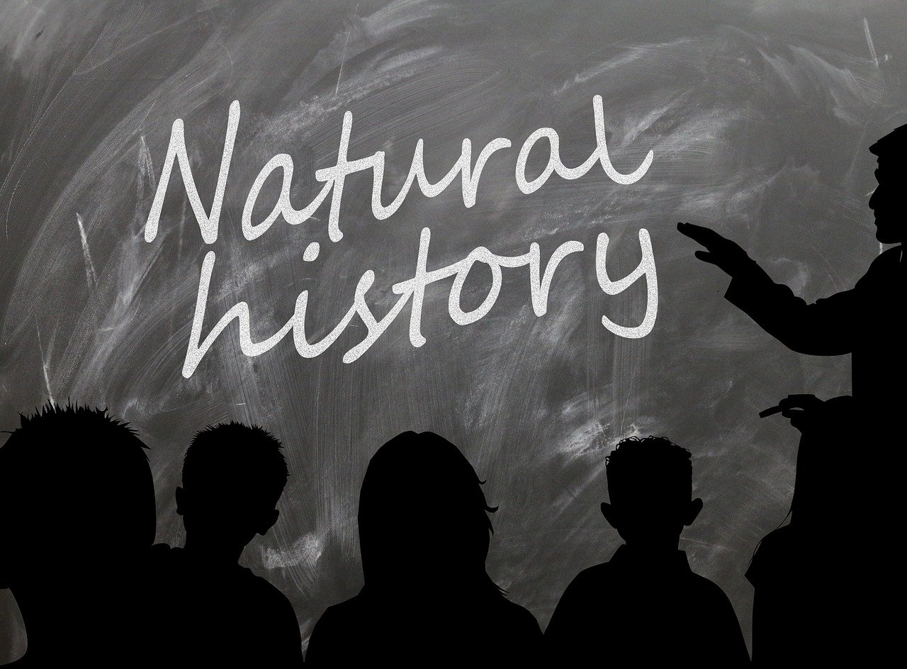 抓娃娃电影,跃入影史票房榜前40的奇迹 抓娃娃电影,跃入影史票房榜前40的奇迹