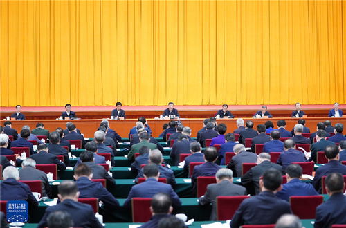 决胜轮在即法国政府发言人竞选活动中遇袭