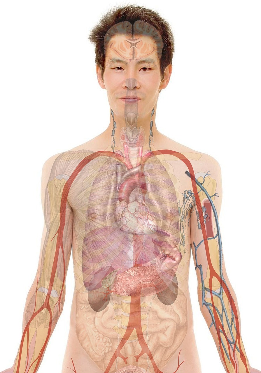 胸痛的多种可能原因，如何辨别并及时就医
