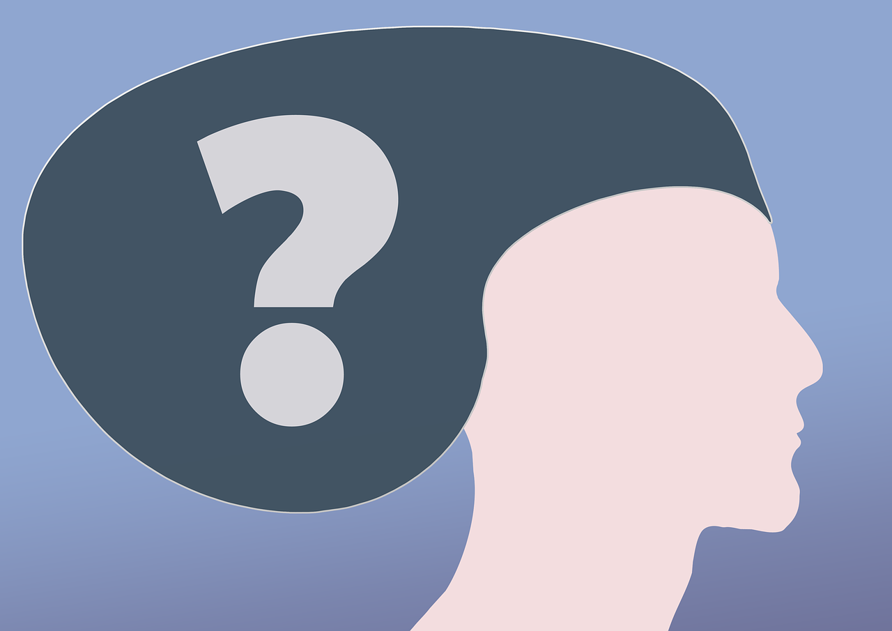 插件是什么？从概念到应用的全面解析