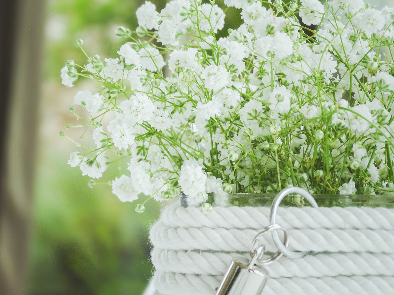 iPhone最新款全方位解析:2023年iPhone 15系列性能、影像、价格全知道,帮你轻松选对不踩坑 iPhone最新款全方位解析:2023年iPhone 15系列性能、影像、价格全知道,帮你轻松选对不踩坑