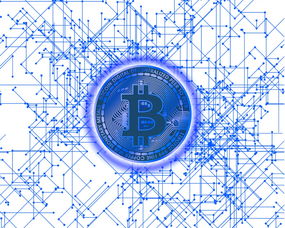 探索影像世界的宝藏——中国官方网的深度解析