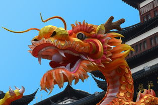 二月二龙抬头，揭秘古老习俗背后的天文奥秘