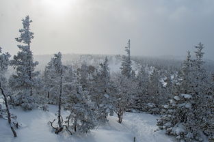 这次山东等地暴雪并不异常，一场雪，一场故事