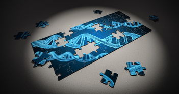 开机 BIOS 检测不到硬盘？别慌，这里有你想要的解决方案