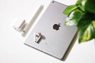 探索苹果iPad mini 5，便携与性能的完美结合