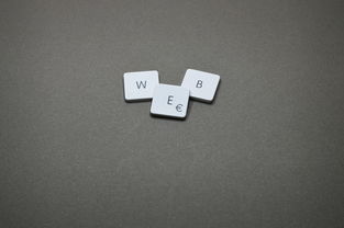 稳步扩大制度型开放，解锁新世界的钥匙