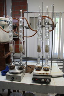 上海种植牙医院，如何选择适合你的理想机构？