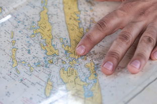 上海疫情地图，揭秘累计感染前五位地区的秘密