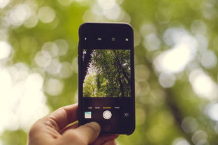 如何在iPhone官网查询激活状态，一个简单易懂的指南
