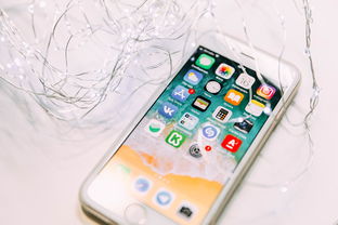 深入了解iPhone 11，详细参数解析与实用指南