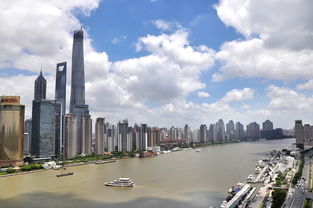 上海疫情防控最新政策解析，保障市民健康与经济活力的平衡之道