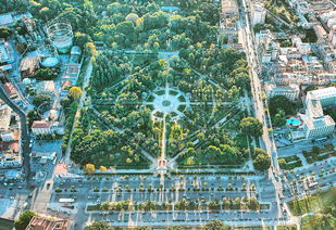 伊犁疫情最新消息，共同守护健康家园