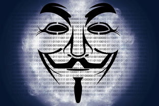 八卦之名，揭秘网名背后的社交密码
