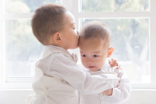 幼儿常识，开启孩子智慧之门的钥匙