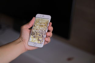 存储之争，128GB与256GB智能手机存储的实用对比分析