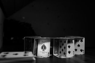 揭秘，自媒体背后的真相与爆料大全