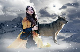 武林魔母，后宫风云录—揭秘武林中最神秘的力量