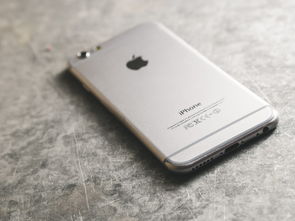 苹果iPhone 14系列，上市时间预测与期待特性解析