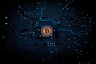 天涯八卦爆料，网络世界的真相与启示