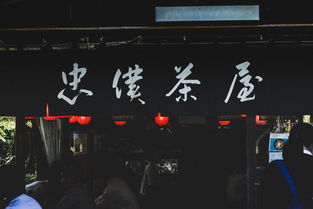 八卦，不只是娱乐，探索看八卦App的魔力与魅力