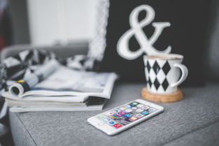 揭秘，iPhone 4s 用户的免费ID号大全及其使用指南