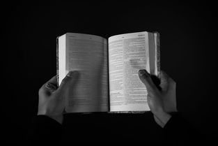 理解没有常识，含义、影响及提升常识水平的策略