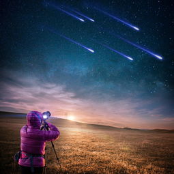 星光璀璨，女性明星的风采与影响力