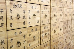中医必背100个知识点，深入理解传统医学的智慧