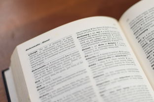 探索文学的奇妙世界，二年级文学常识知识大全视频