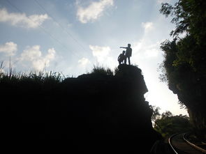 华晨宇的星光轨迹，探索他的最新动态与音乐旅程