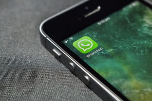 生活百科App，您的智能生活助手—中文版下载与安装指南