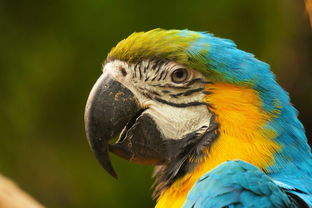 75寸电视性价比之王:大屏享受不花冤枉钱,家庭影院轻松拥有 75寸电视性价比之王:大屏享受不花冤枉钱,家庭影院轻松拥有