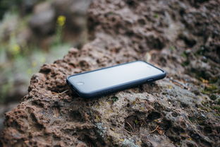 PP助手苹果下载全攻略:免费获取付费应用,无需越狱轻松安装 PP助手苹果下载全攻略:免费获取付费应用,无需越狱轻松安装