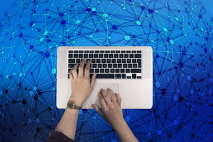 华为云服务个人登录入口：安全便捷的数字身份管家，一键开启云端世界