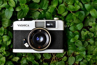 OPPO A37m参数全解析:轻巧设计、流畅体验与超值拍照,解决你的入门手机选购难题 OPPO A37m参数全解析:轻巧设计、流畅体验与超值拍照,解决你的入门手机选购难题