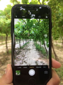 三星B5330手机深度评测：千元机中的实用之选，解决预算有限用户的智能体验需求