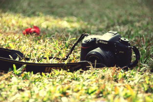 佳能SX170IS评测：轻松拍出专业级照片，告别手机拍摄的局限