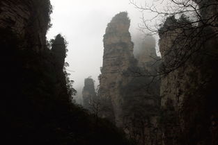 全网围观张家界荒野求生—探寻人与自然的生存之道 全网围观张家界荒野求生—探寻人与自然的生存之道