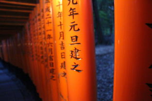 全球旅游市场震荡，54.3万人取消赴日机票