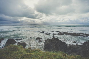 印尼发现全球极罕见哈氏大王花，自然之奇迹的绽放