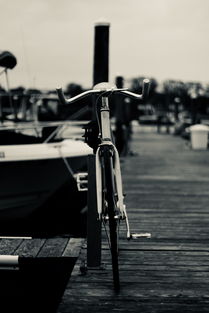 电动自行车价格飙升背后的原因，一夜之间的千元涨幅探究