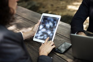 蔡磊的未来探索，脑机接口的挑战与机遇